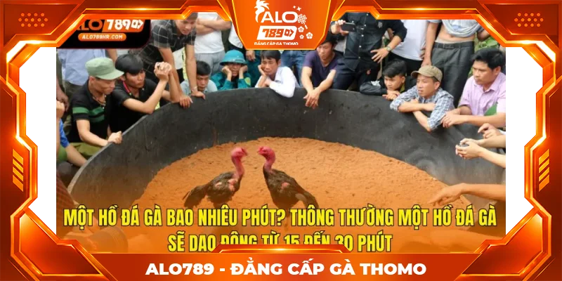 Một hồ đá gà bao nhiêu phút? Thông thường một hồ đá gà sẽ dao động từ 15 đến 30 phút