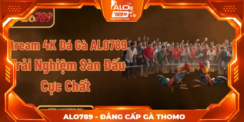 Stream 4K Đá Gà ALO789