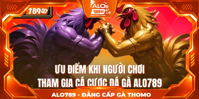 Ưu điểm khi người chơi tham gia cá cược đá gà alo789 Ưu điểm khi người chơi tham gia cá cược đá gà alo789